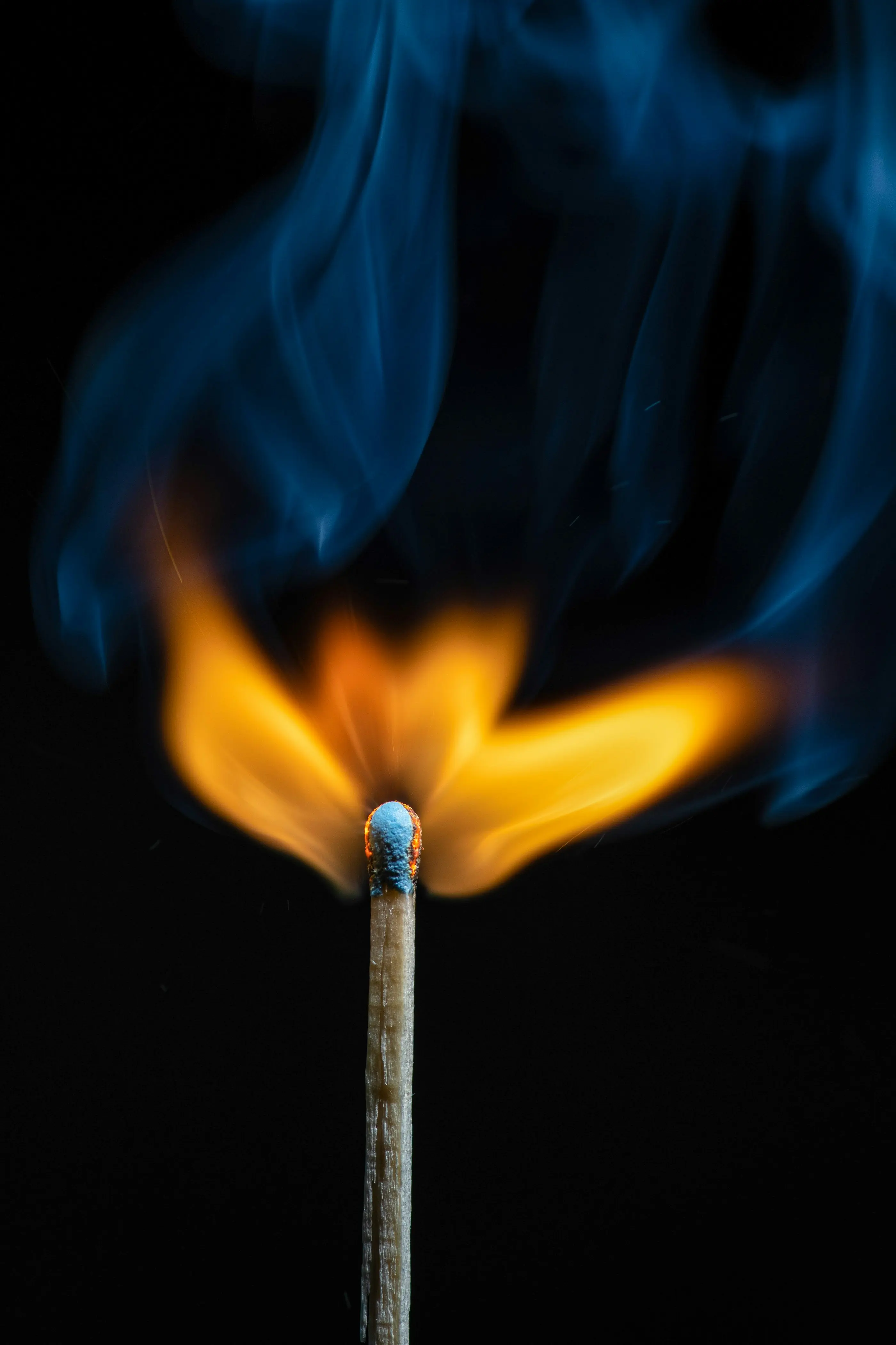 The Art of Curiosity: Igniting Connections on LinkedIn