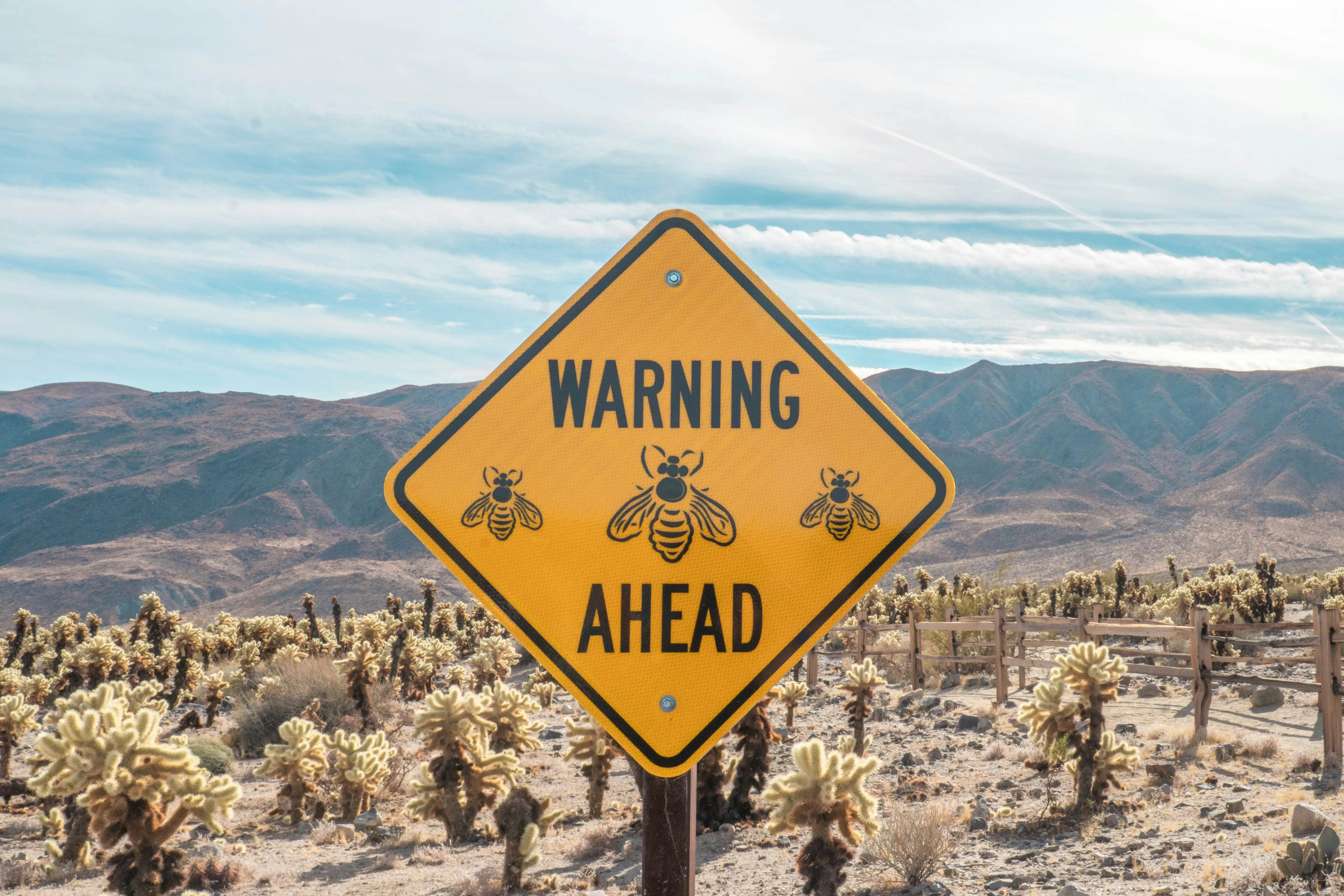 LinkedIn Automation Warnings: What They Mean and How to Avoid Them