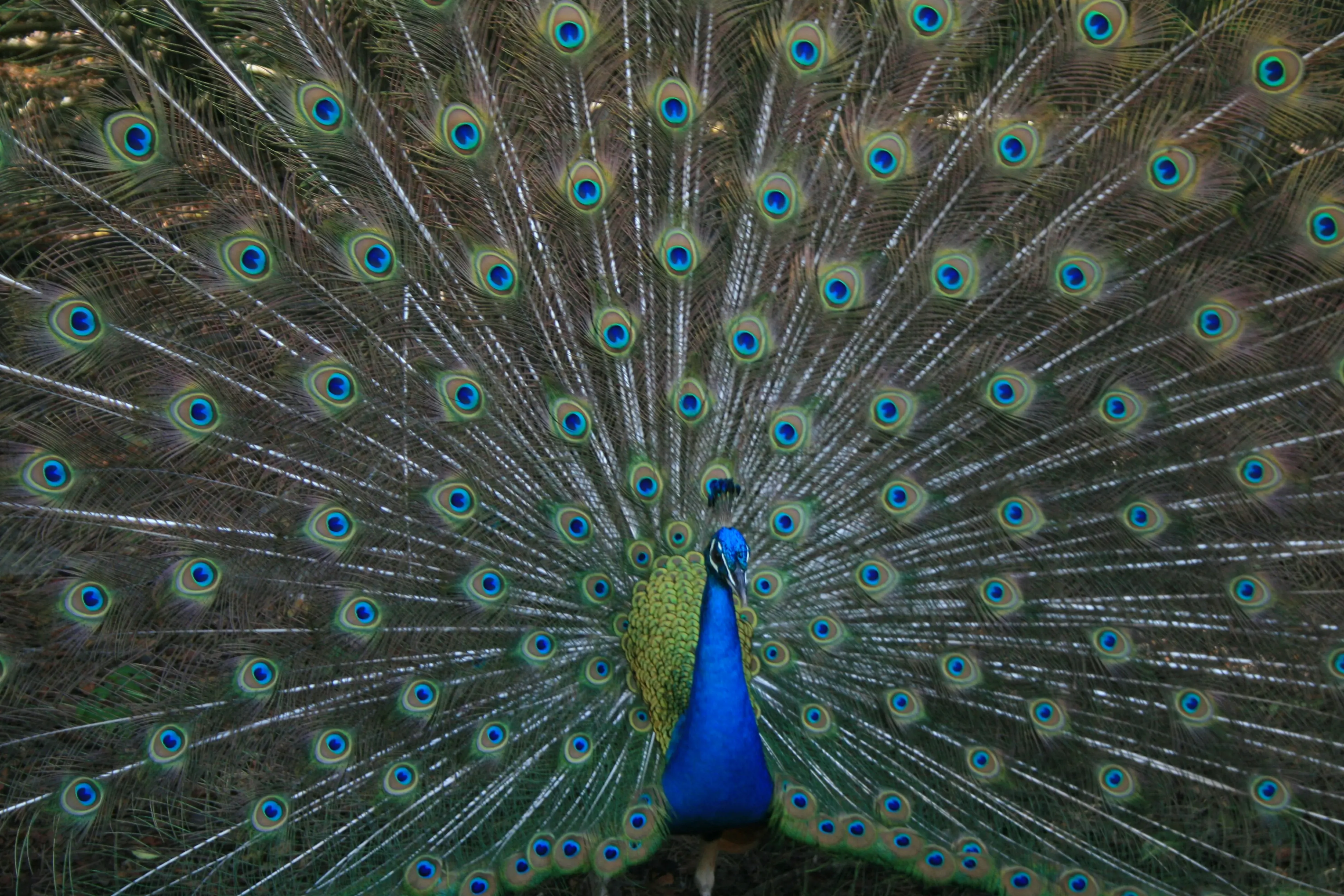 Unlocking LinkedIn's Real Value: Networking Beyond Self-Promotion