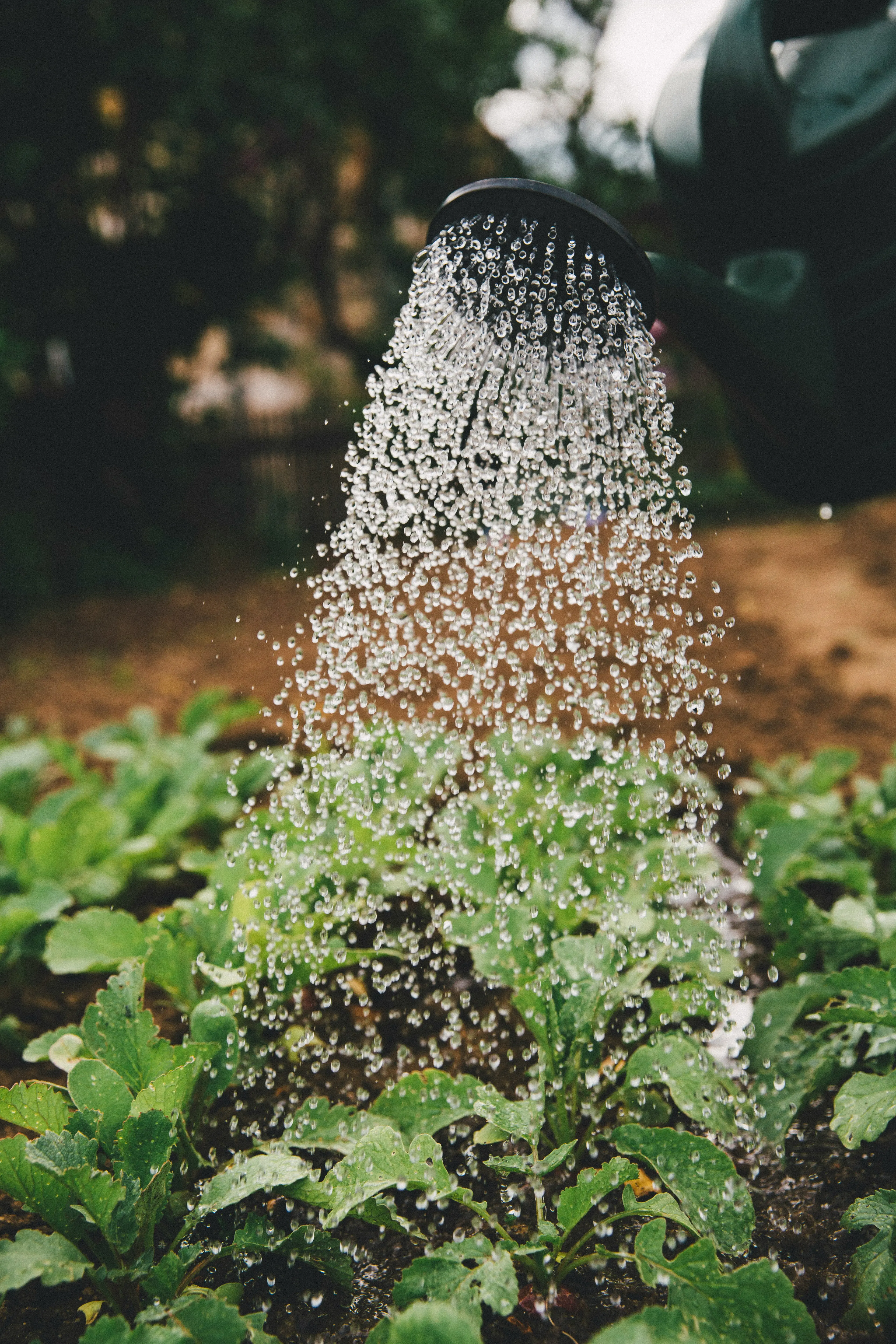 Unlocking Organic Growth: The Future of LinkedIn for B2B Marketers