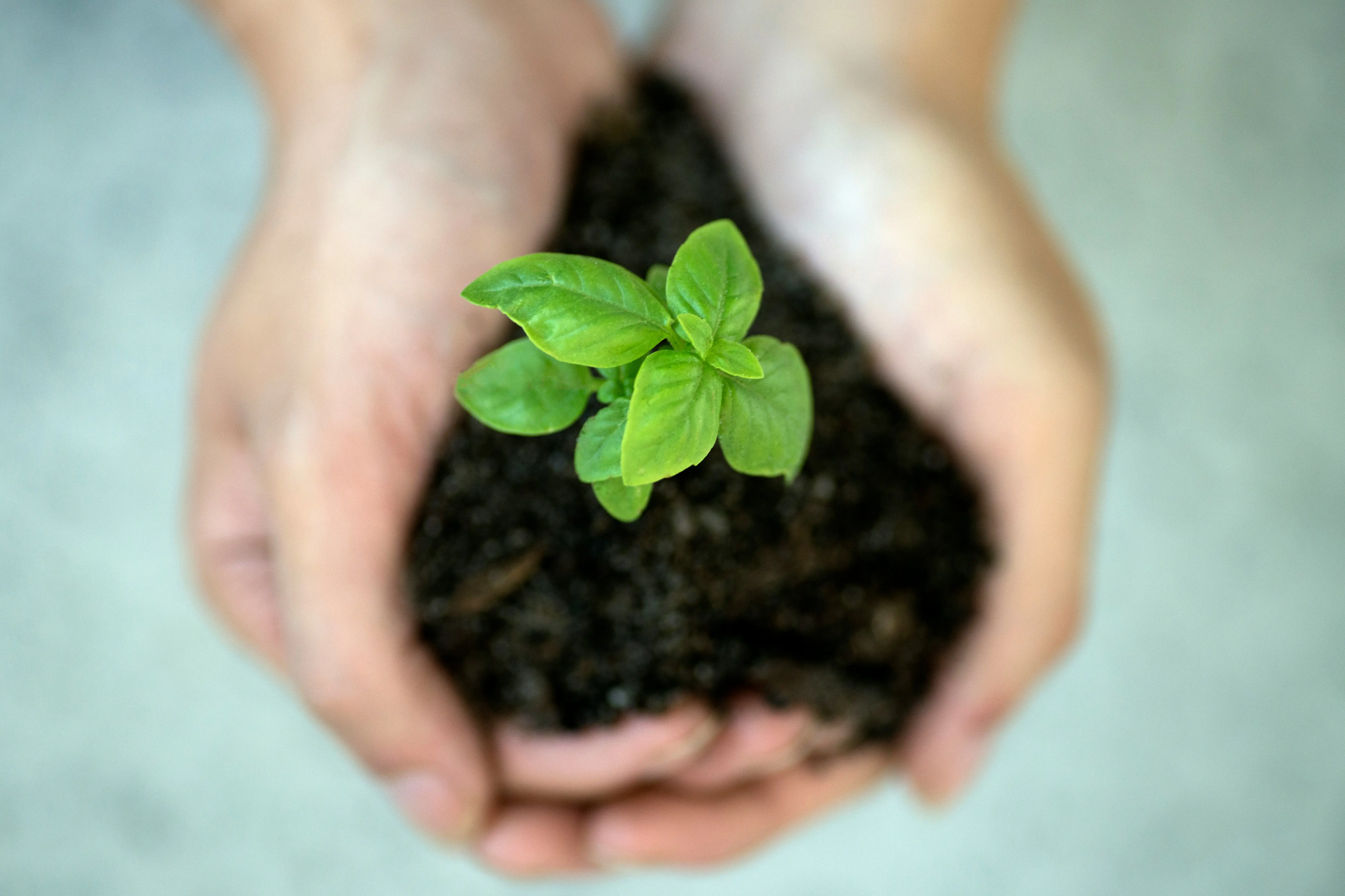 The LinkedIn Long Game: How to Nurture Leads Who Aren't Ready