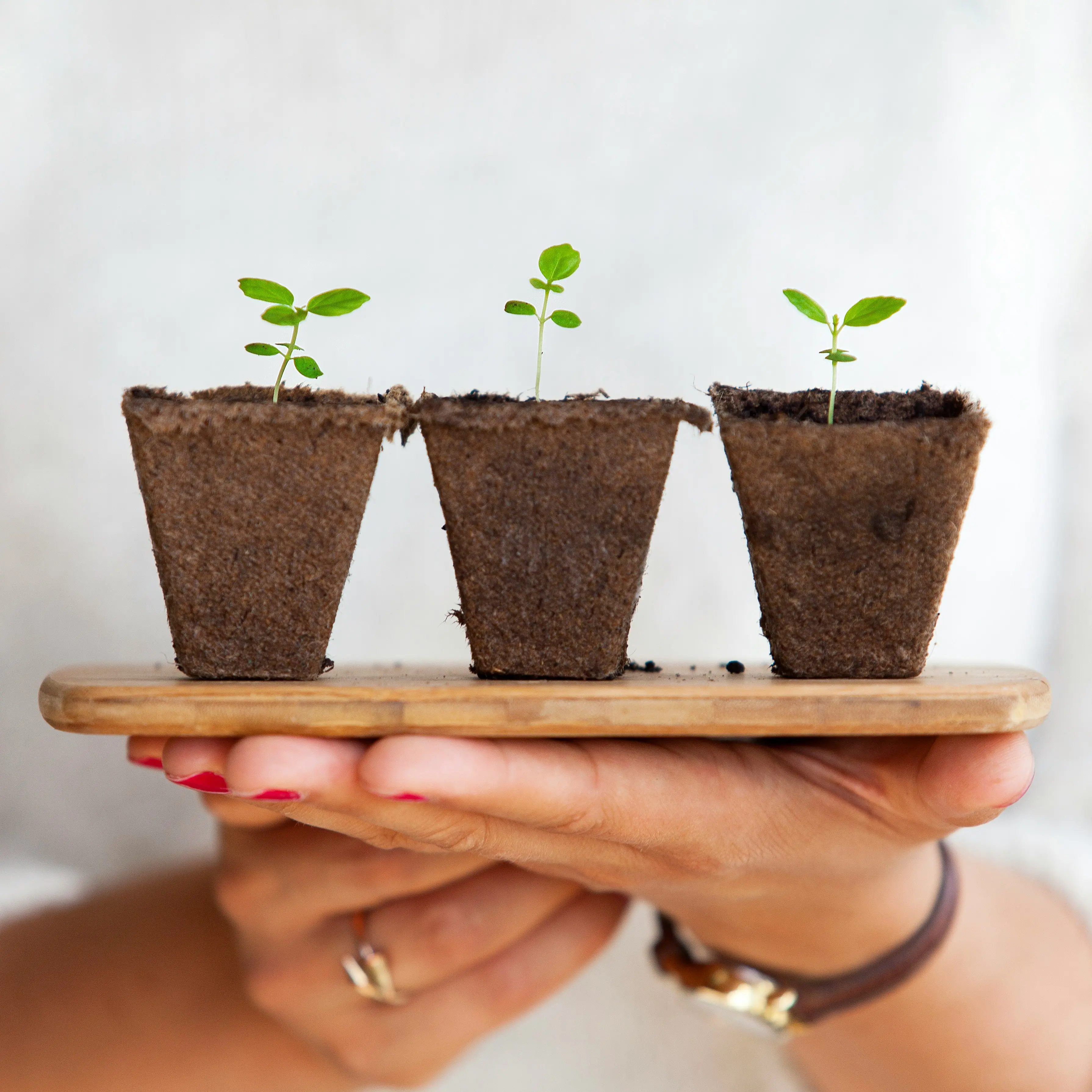 Maximizing Organic Reach on LinkedIn: Strategies for B2B Success