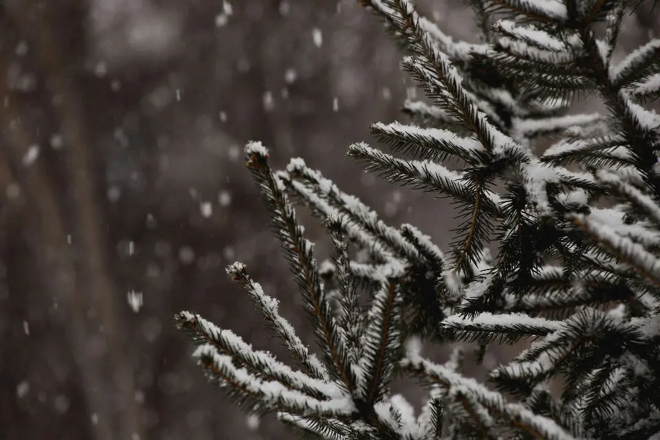 LinkedIn Cold Outreach That Works: Templates & Examples