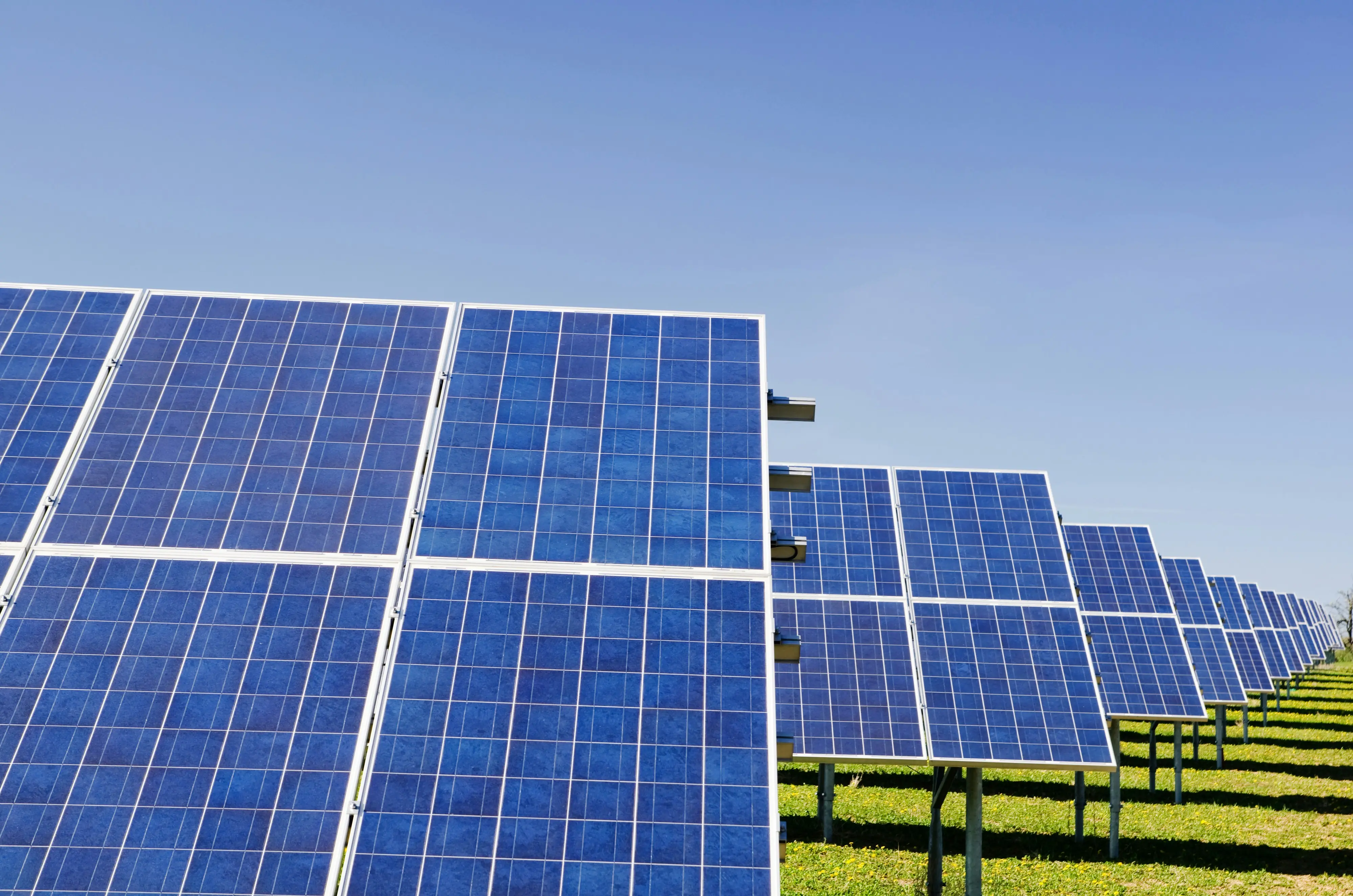 The Booming Renewables Recruiting Niche: Your Gateway to Remote Work