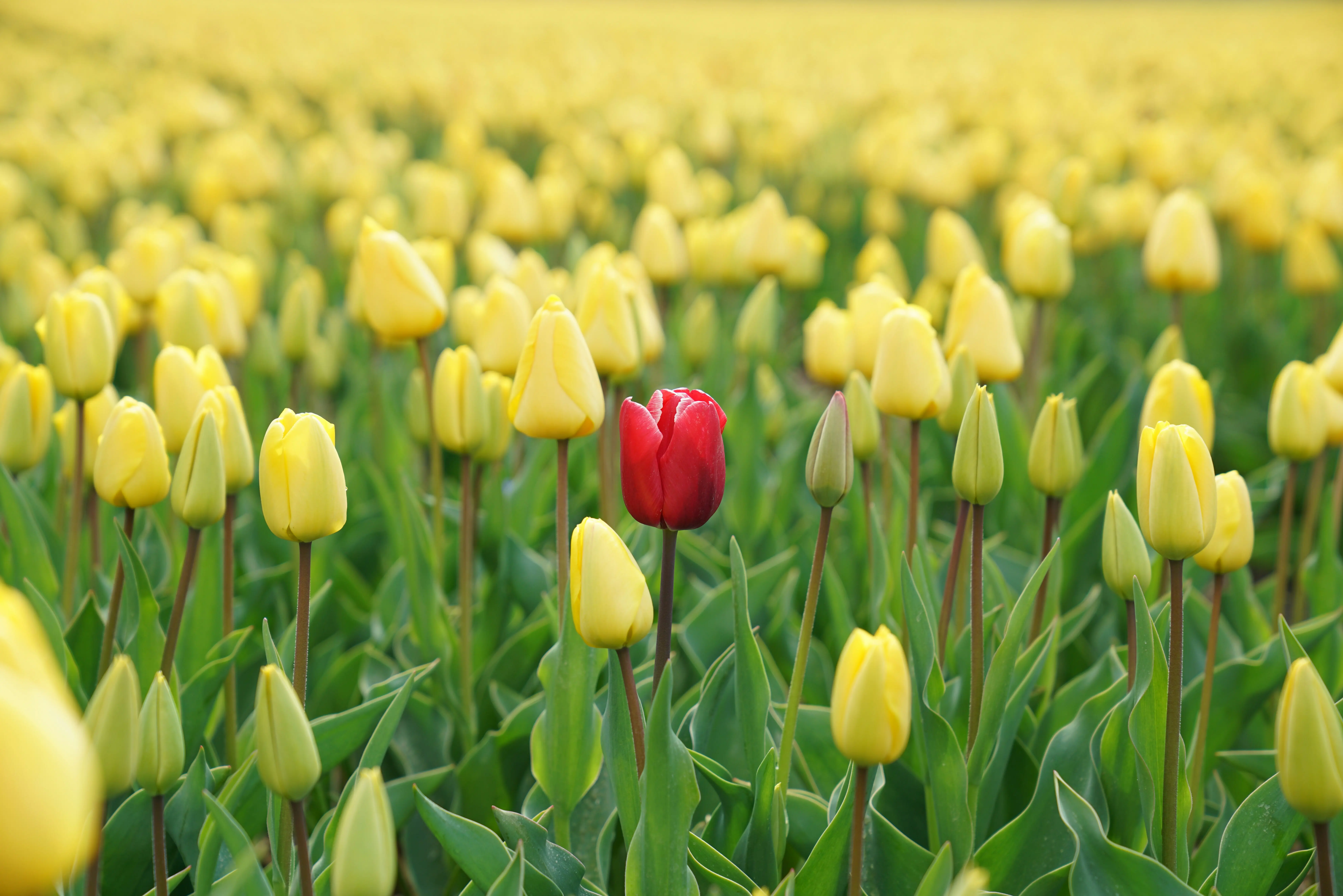 How to Differentiate Your Outreach When Everyone Else Sends Text