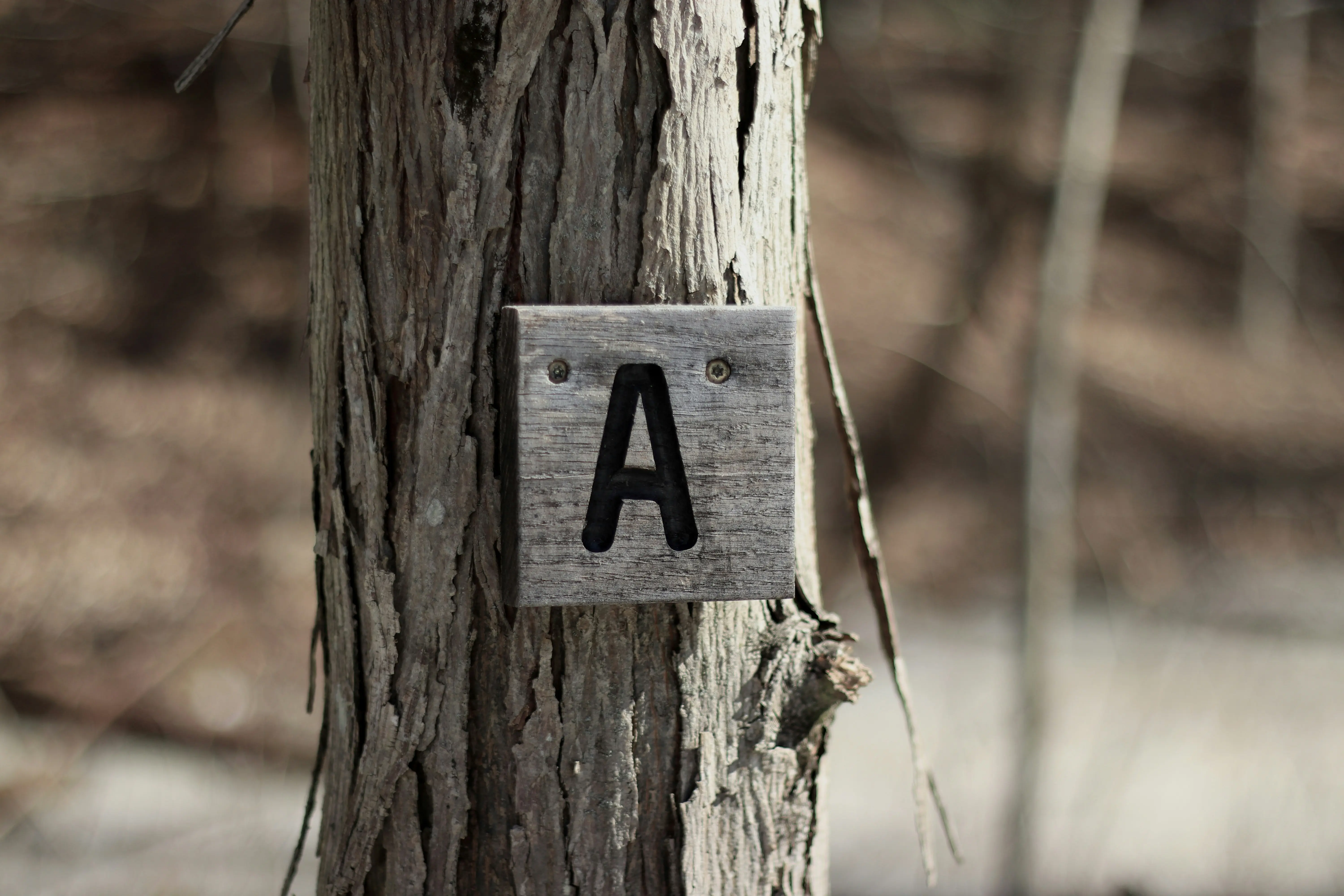 LinkedIn's Social Selling Index: How to Check and Improve Your Score